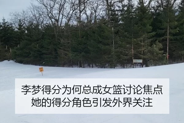li-meng-de-fen-wei-he-zong-cheng-nv-lan-tao-lun-jiao-dian-ta-de-de-fen-jue-se-yin-fa-wai-jie-guan-zhu-2-663.jpg
